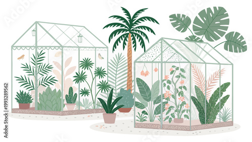 Greenhouses with exotic tropical plants and palm trees, botanical garden illustration