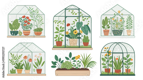 Set of glass greenhouses with various indoor plants in pots, botanical collection of terrariums with flowers and succulents, flat vector illustration