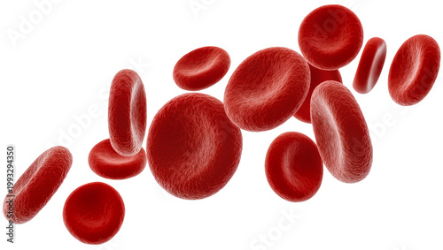 Red blood cells in a cluster, showing cellular structure