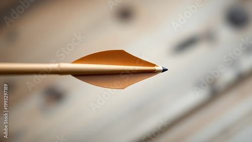 A single arrow nocked on a bowstring, focus on the arrowhead.