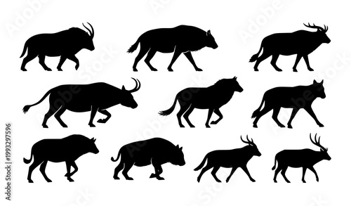 Photography Wild Animals Shadow Illustration Bundle Black Silhouette Vector Set of Safari an