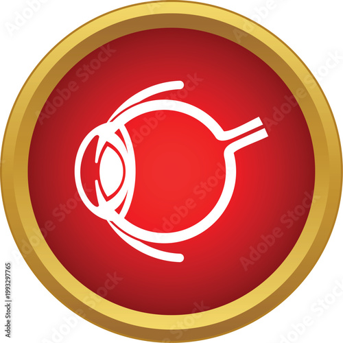 Human eye diagram showing internal anatomy and optic nerve in a red circle