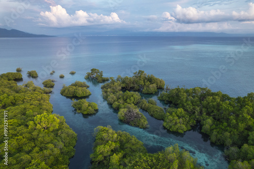 Fotografia Aerial view of coastal mangrove islets and clear blue sea in a tropical marine landscape