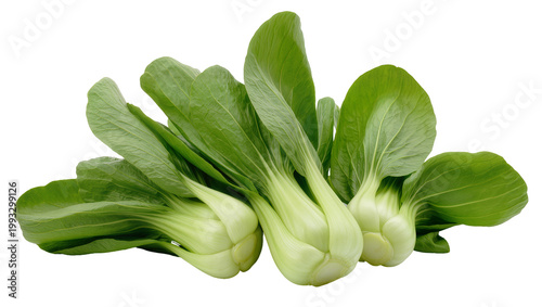 Φωτογραφία Fresh Green Bok Choy Bundle with Rounded White Stems