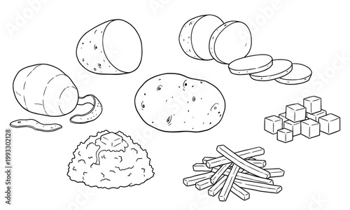 Set of potatoes, vector illustration. whole, sliced, peeled, mashed, and french fries.