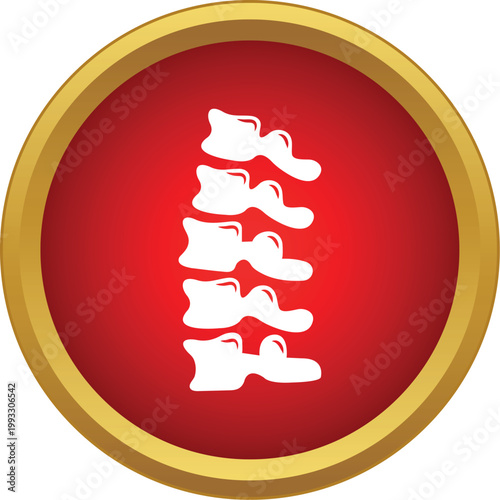 Human spine anatomy icon showing healthy vertebral column bones