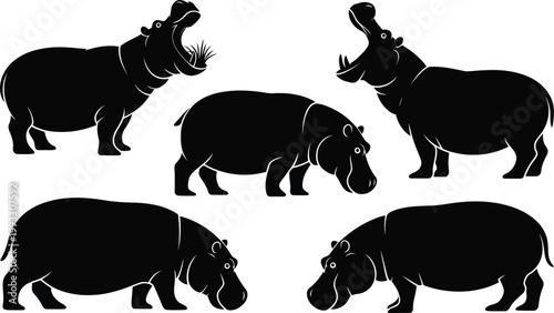 Collection of five black hippopotamus animal silhouettes in various poses on a white background