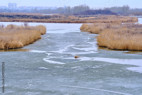 High angle view thin ice melting on lake surface with dry yellow grass along shoreline.