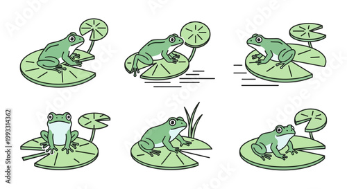 Photos Green frog on a lily pad.