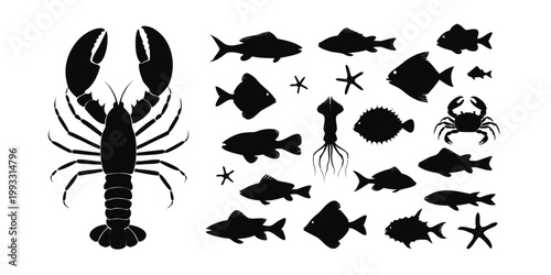 Black silhouettes of various sea creatures on white background