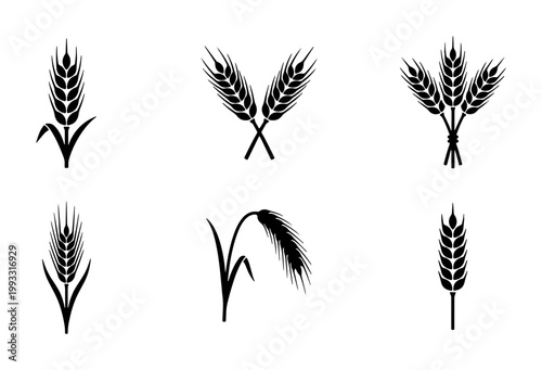 Black wheat ear icons set, organic cereal grain silhouettes, 6 vector barley and rye stalks for bakery logo design and agriculture branding