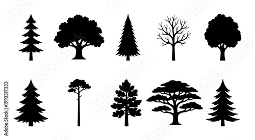 Black tree silhouettes set, 10 forest tree vector icons, minimalist pine and oak tree shapes, natural wood and foliage landscape elements
