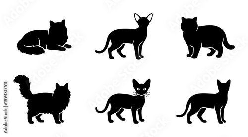 Black cat silhouettes collection, set of 6 feline vector icons, minimalist domestic cat breed shapes, elegant pet animal outlines for logo design
