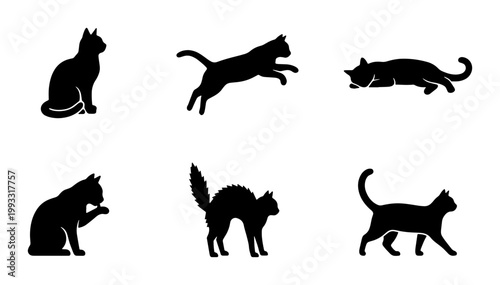 Black cat silhouette collection, set of 6 feline vector icons in various poses, domestic cat silhouettes for pet branding and animal graphics