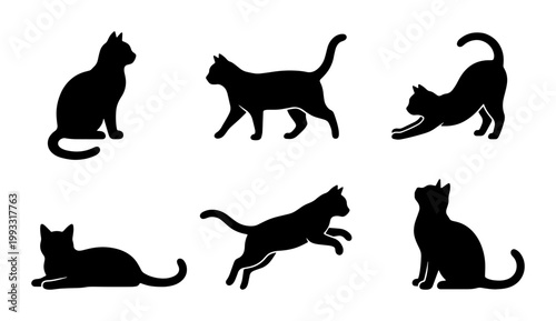 Black cat silhouette collection, set of 6 feline vector icons in various poses, domestic cat shapes for pet branding and animal graphics