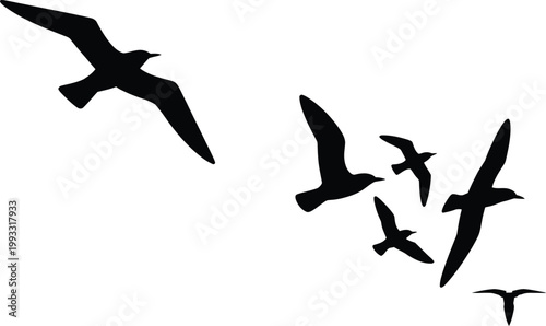 Flock of black birds flying across 