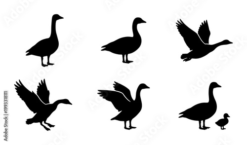 Quadro su tela Goose silhouette vector set, black waterfowl icons in flying and standing poses,
