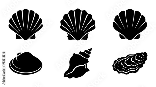 Seashell black silhouette icons set, nautical scallop and clam shell vector collection, marine oyster and conch shell symbols for summer beach branding
