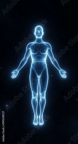 Human Body Scan - A Digital Representation of Anatomy.