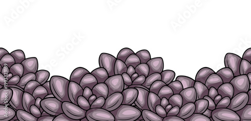 Seamless vector pattern of plump, plump succulent plants in muted purple and pink tones, creating a botanical background illustration.