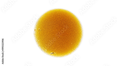 Фотография Golden fuzzy persimmon fruit with calyx and stem
