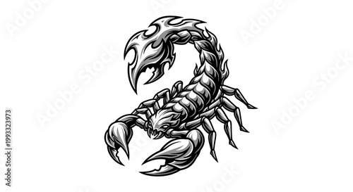 Detailed black and white scorpion illustration on white background vector