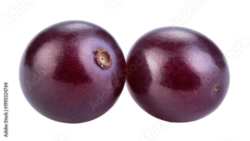 Fotografie Two shiny purple plums with brown stem and calyx