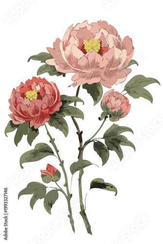 Vintage pink red white rose garden botanical illustration garden rose bud floral gouache hand painting, transparent vector romantic art for card poster stationery graphic design png vintage old world 