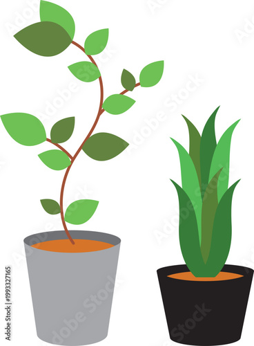 観葉植物のセット 鉢植えとグリーンのベクターイラスト素材