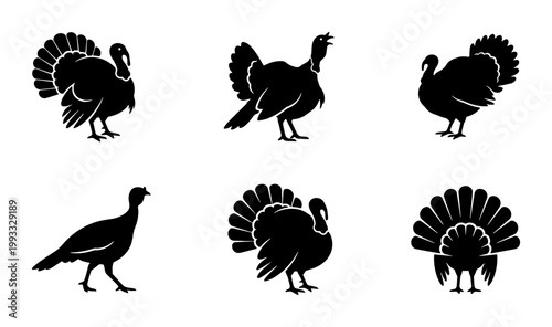Black turkey silhouette collection, set of 6 wild turkey bird icons, Thanksgiving holiday poultry vector graphics for autumn seasonal design