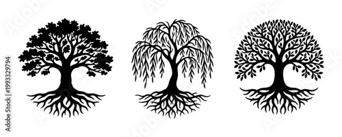 Black tree silhouettes with roots, set of 3 botanical vector icons, oak and willow tree of life symbols for logo design and nature branding