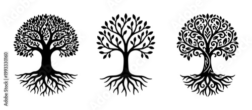 Tree of life silhouette set, black organic tree icons with roots and leaves, celtic style nature symbols, 3 vector illustrations for logo design