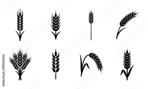 Wheat ear silhouette icons set, black cereal grain stalks vector collection, organic barley and rye plant elements for bakery logo design