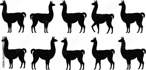 Multiple black llama silhouettes standing in various positions, ideal for wildlife themed design projects