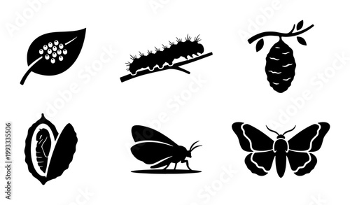 Bild auf Leinwand Butterfly life cycle silhouette icons, 6 stages of metamorphosis vector set, cat