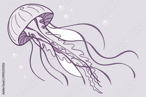 Hand Drawn Jellyfish Illustration Marine Life Ocean Creature Line Art Vector Design