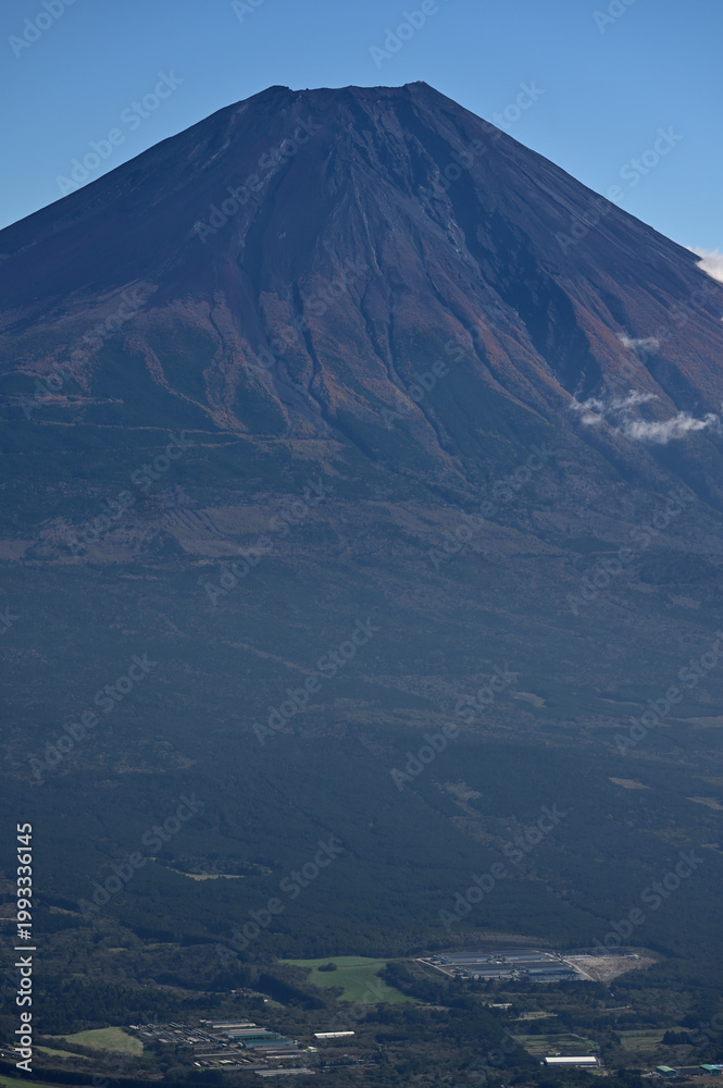 Fototapeta premium 天子山地の毛無山 富士山展望台から望む 