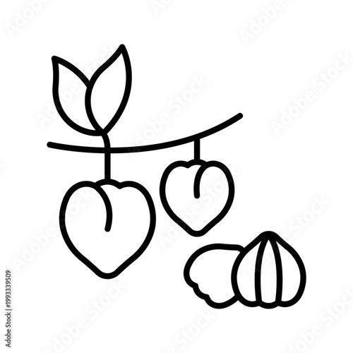 Buckwheat seed icon. Food and grains line symbol. Black and white.