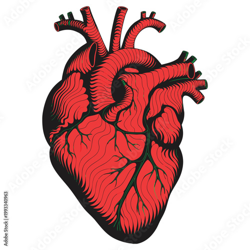 Tableau sur toile A red human heart anatomy model design with a floral nature pattern and bird wing shape in a vector art illustration style