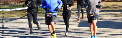 Runners Participate in a Race on a Sunny Day in a Park Setting during Winter