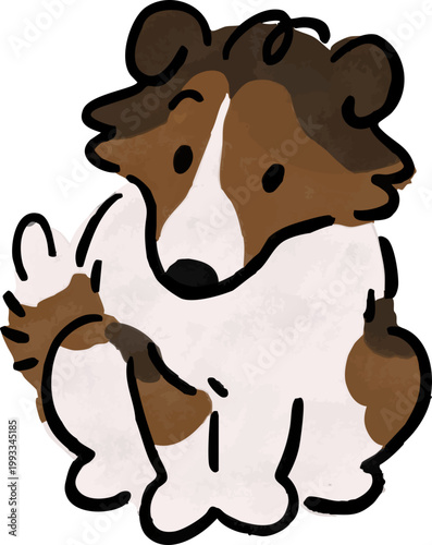 앉아있는 셀티 강아지 셰틀랜드쉽독