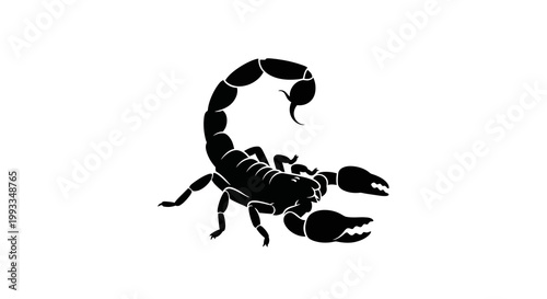 Scorpion Silhouette