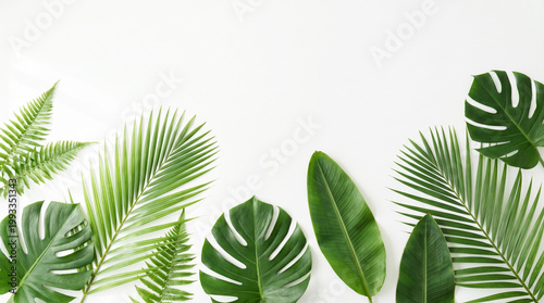 Tropical Green Leaves Flat Lay on White Background with Copy Space