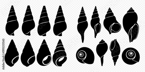 Set of black silhouettes of various seashells and snail shells on a transparent background.