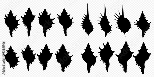 Collection of various sea shell silhouettes, showcasing different shapes and textures found in marine life.