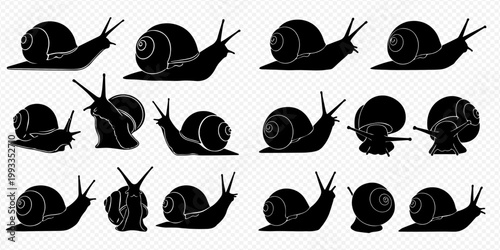 Set of various snail silhouettes, showing different poses and perspectives of the mollusk.