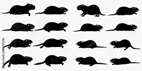 Schilderij op canvas Set of black silhouettes of nutria in various poses, isolated on white background