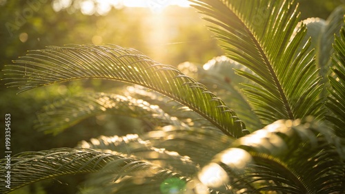 Sunlight Flare Through Green Leaves in Nature