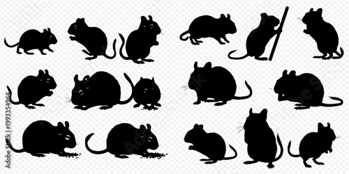 Set of black silhouettes of mice and rats in various poses, isolated on a transparent background.