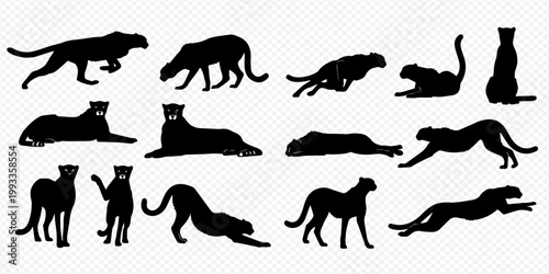 Set of black panther silhouettes in various poses, depicting different actions and movements of the wild cat.